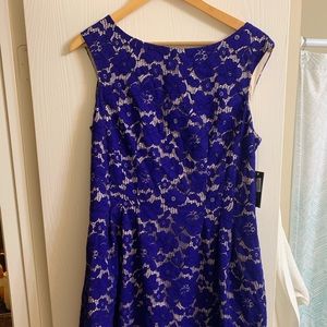 Lace royal blue cocktail dress- Size 14